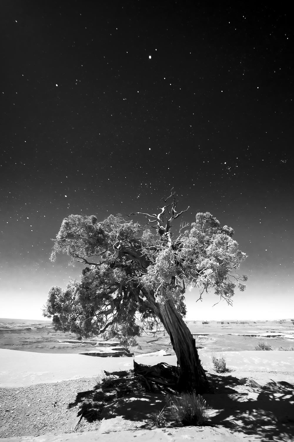 Night skies in Canyonlands National Park