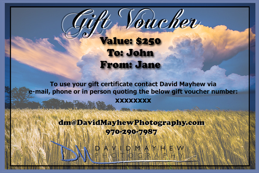 Give the gift of choice with a Gift Certificate!