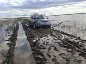 Ford Escape in Mud