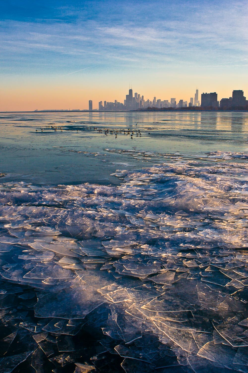 Frozen Chicago #1