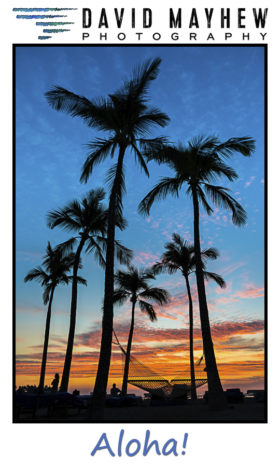 Travel Tag Hawaiian Sunset