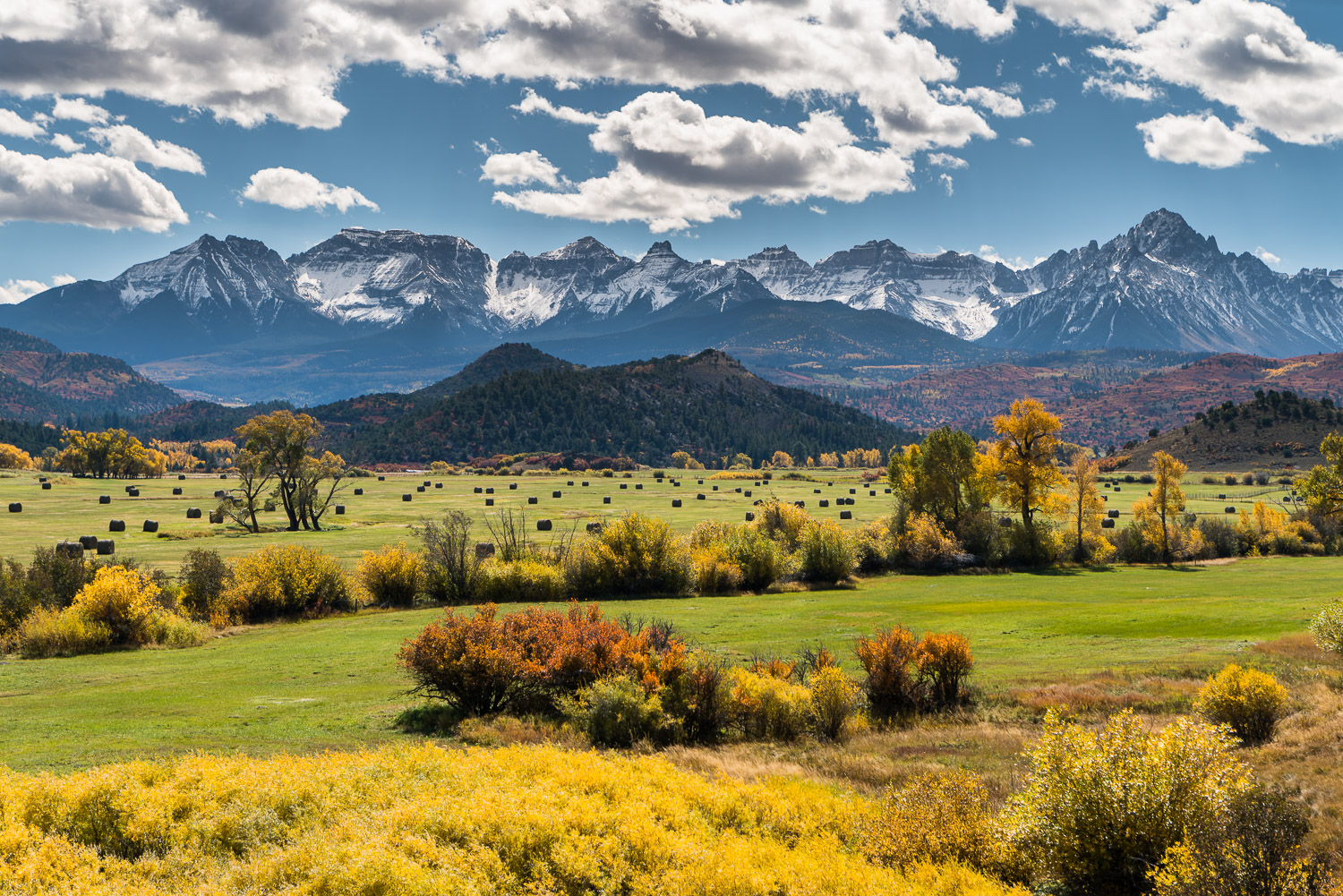 Ridgeway Fall Colors