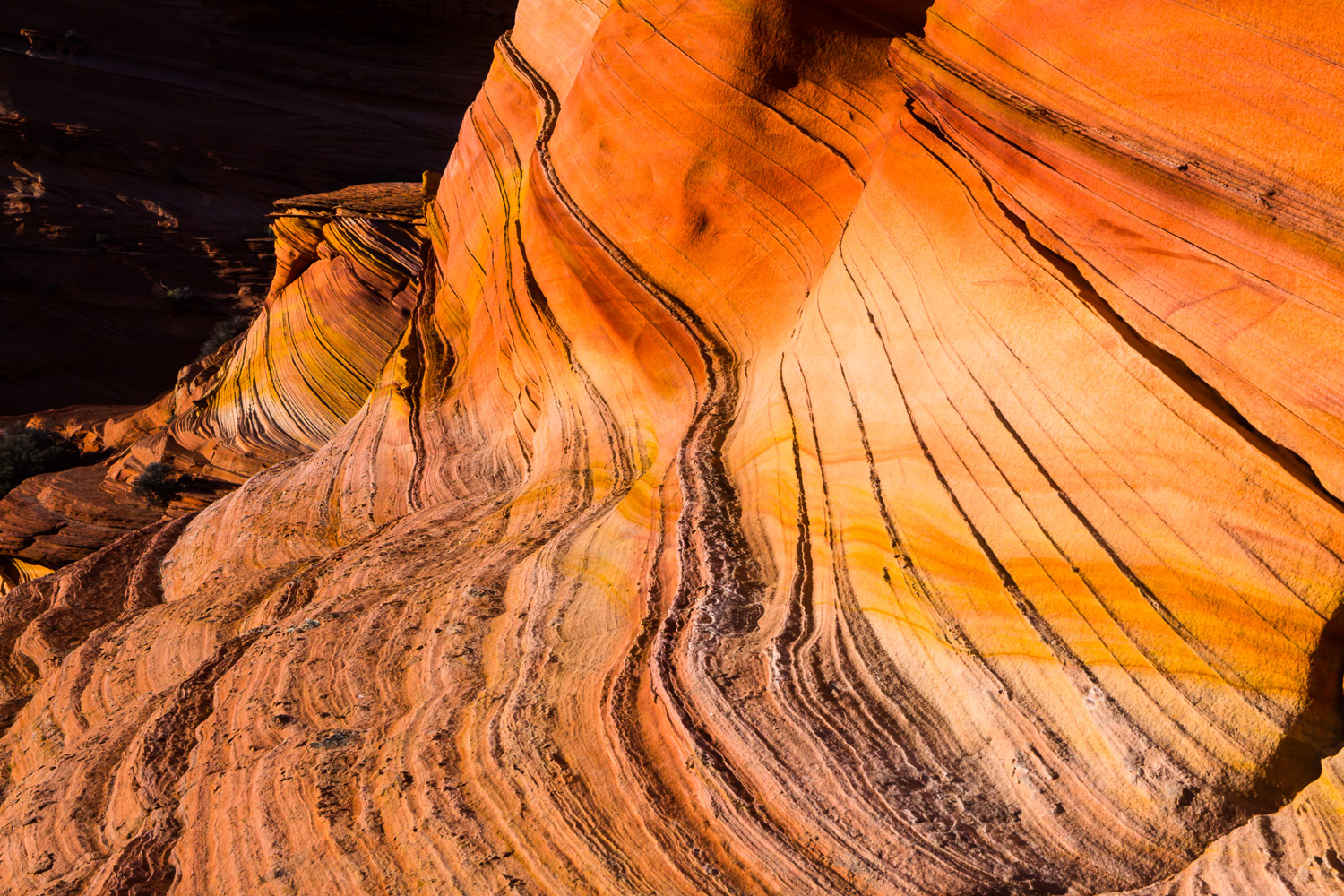 South Coyote Buttes #1