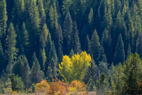 251008McCallIdaho010
