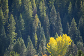 251008McCallIdaho015