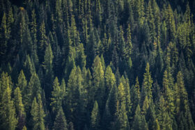 251008McCallIdaho018
