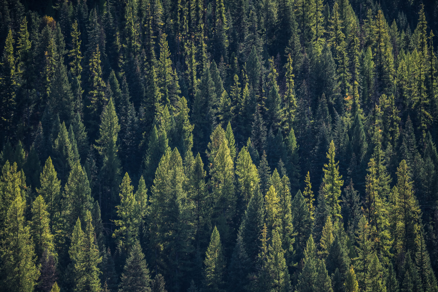 251008McCallIdaho018