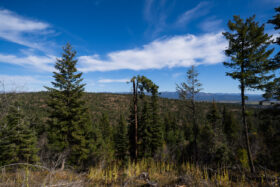 251009McCallIdaho234