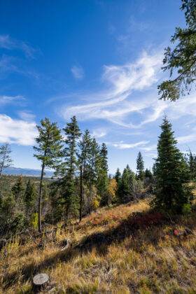 251009McCallIdaho236