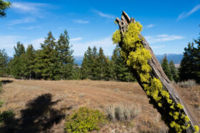 251009McCallIdaho326