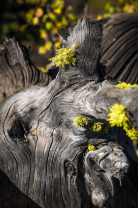 251009McCallIdaho348