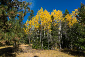251009McCallIdaho353