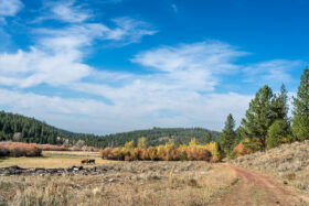 251009McCallIdaho359