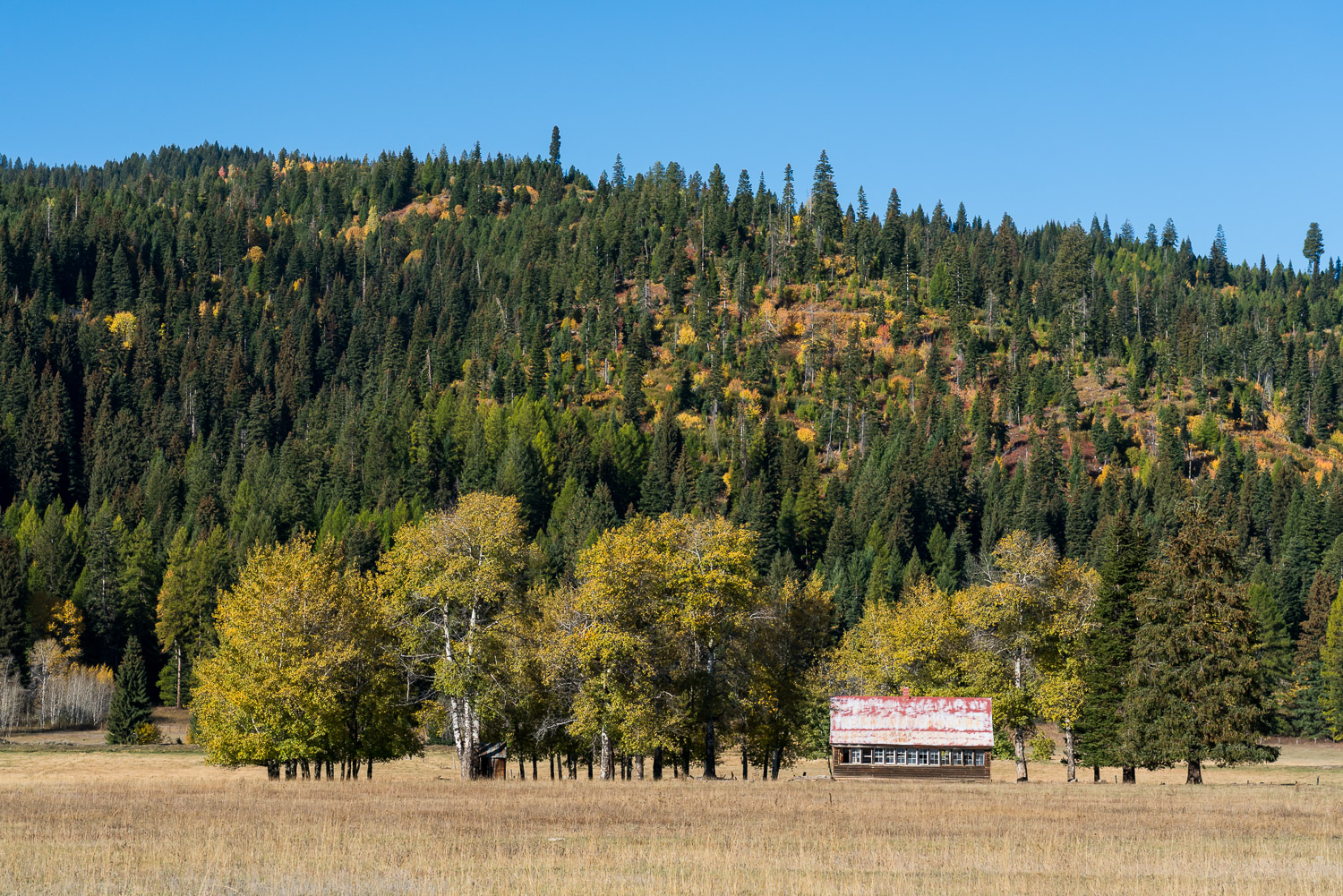 251010McCallIdaho411