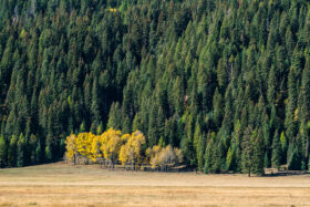 251010McCallIdaho418