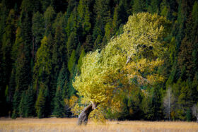 251010McCallIdaho423