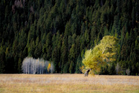 251010McCallIdaho429