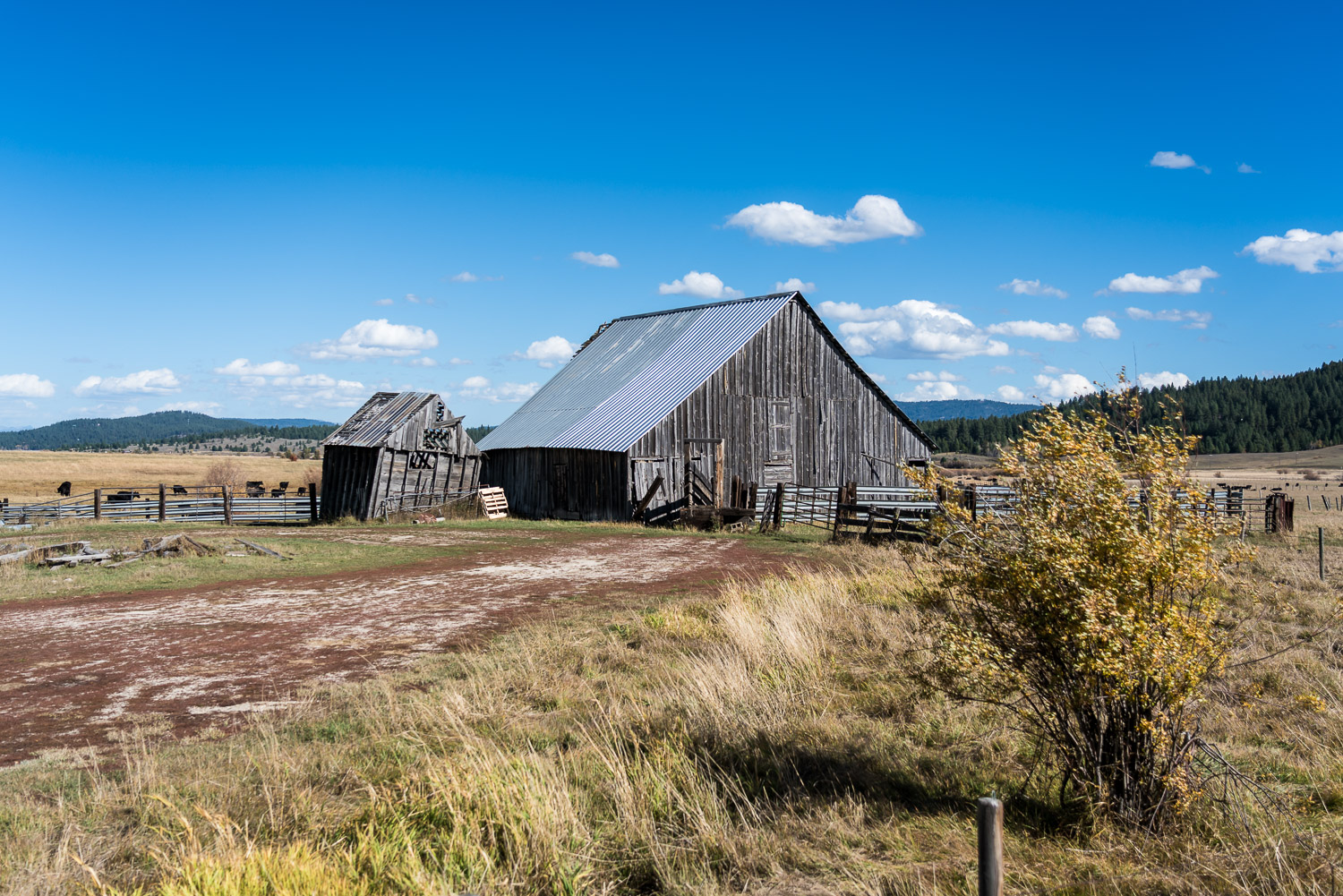 251010McCallIdaho548