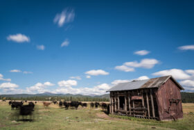 251010McCallIdaho593