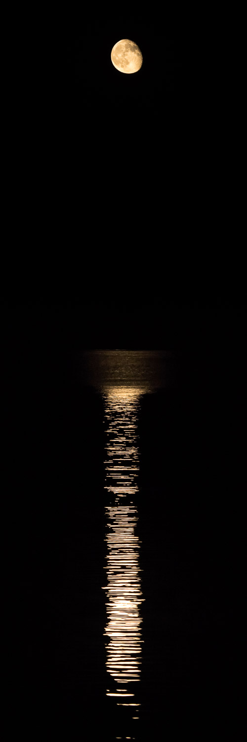 251009McCallIdaho385