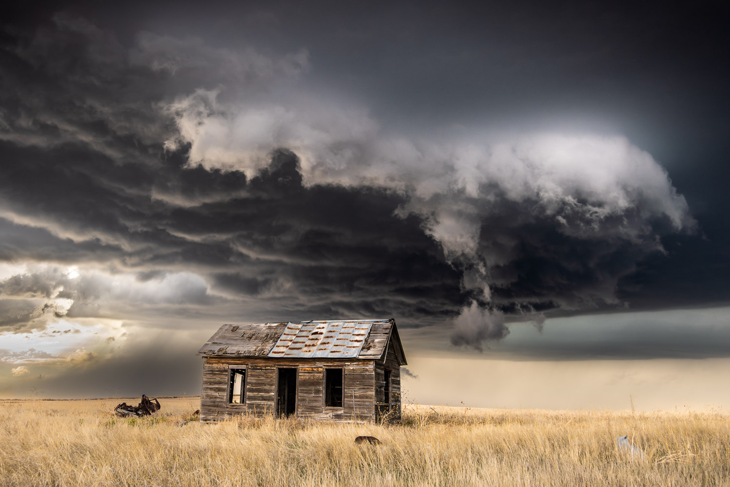 Love Shack
