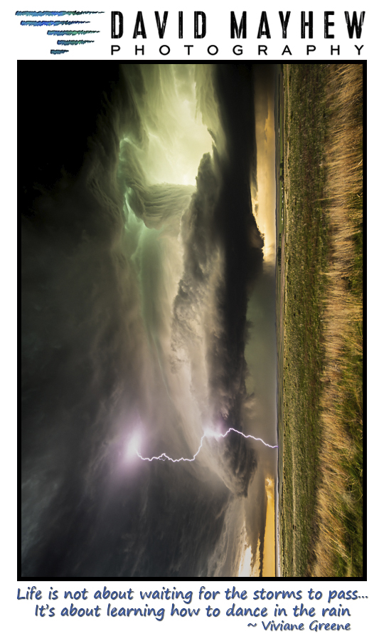 Travel Tag Vaulted Bolt